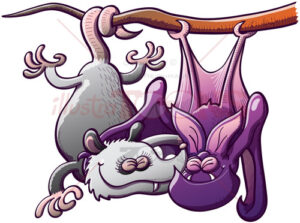 Opossum and bat romantic love story - illustratoons
