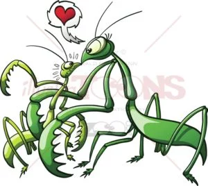 Praying mantis forcing her mate to love