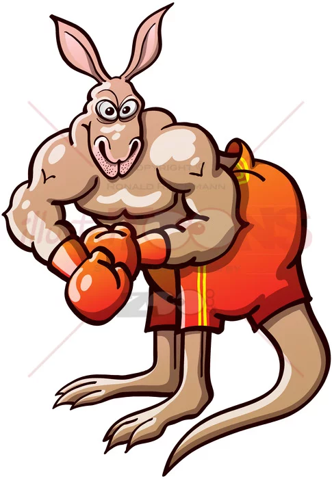 Terrific boxing kangaroo - illustratoons