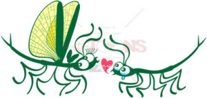 Stick insects’ painful declaration of love - illustratoons