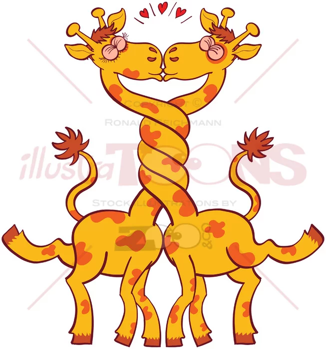 Giraffes in love intertwining necks and kissing - illustratoons