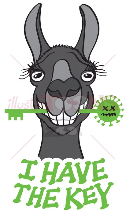 Black llama has the key against Coronavirus - illustratoons